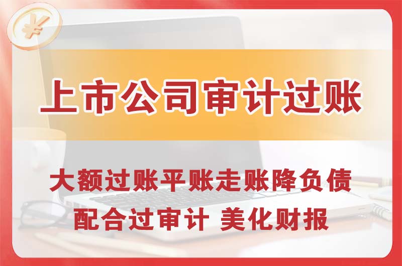 阿拉善上市公司审计过账